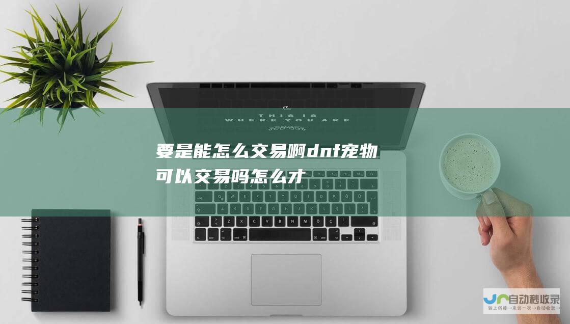 要是能怎么交易啊 dnf宠物可以交易吗 (怎么才能交钱)