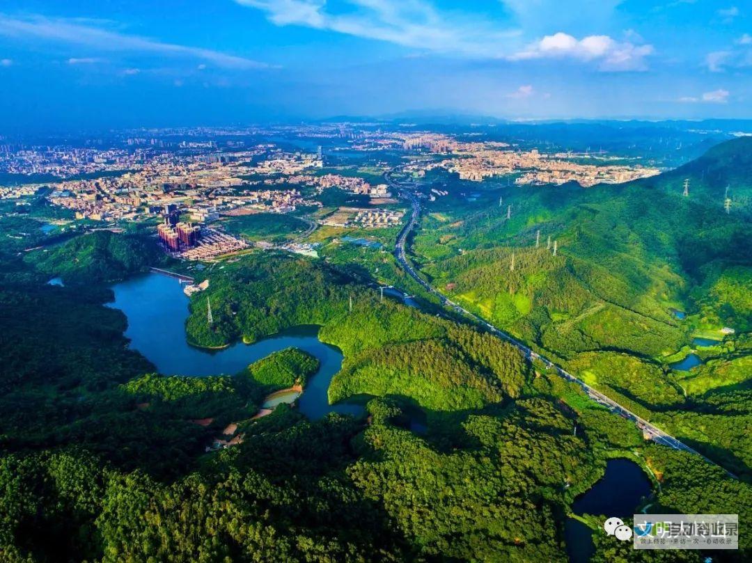 大岭山家政公司有哪些 (大岭山家政公司哪家好)