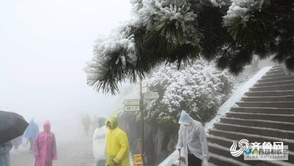 山东晴好天气将持续到元旦 济南假期第1天最高温8℃ (山东晴好天气上线)