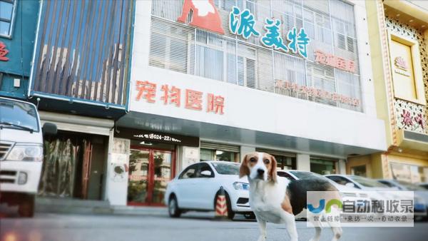 无锡派特宠物医院有限公司湖滨路分公司怎么样 (无锡派特宠物医院崇宁路店)