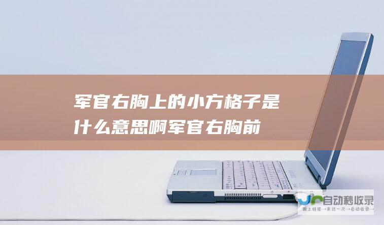 军官右胸上的小方格子是什么意思啊 (军官右胸前牌是什么)