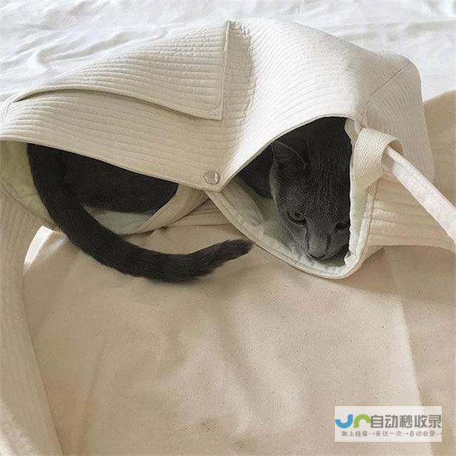 背着猫包可以上大巴吗 (背着猫包可以上公交吗)