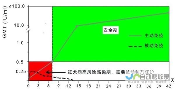 狗狗免疫有哪些要注意的 (狗狗免疫有哪些种类)