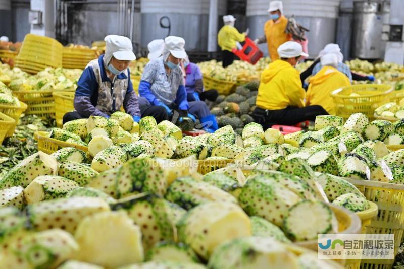 广西合浦白沙镇旅游景点 白沙镇附近风景区推荐景点 (广西合浦白沙的邮政编码是)