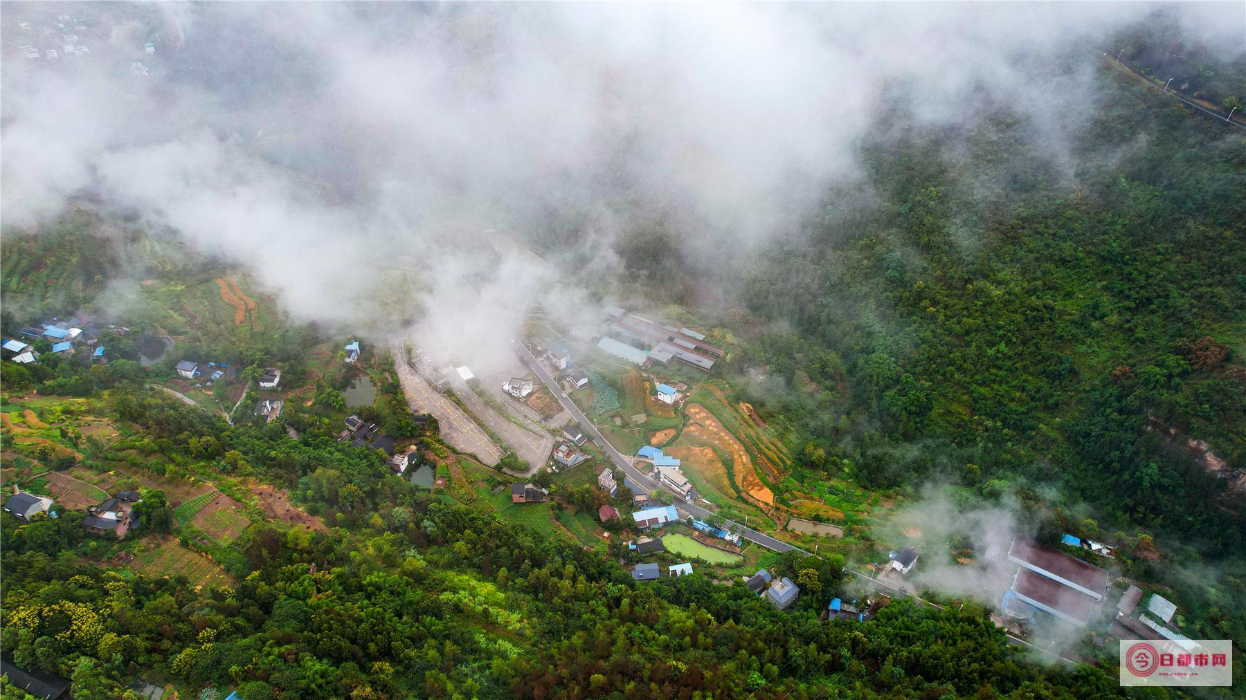 阳春云帘村爬八排山最佳上山路线 (阳春市河朗镇云帘村)