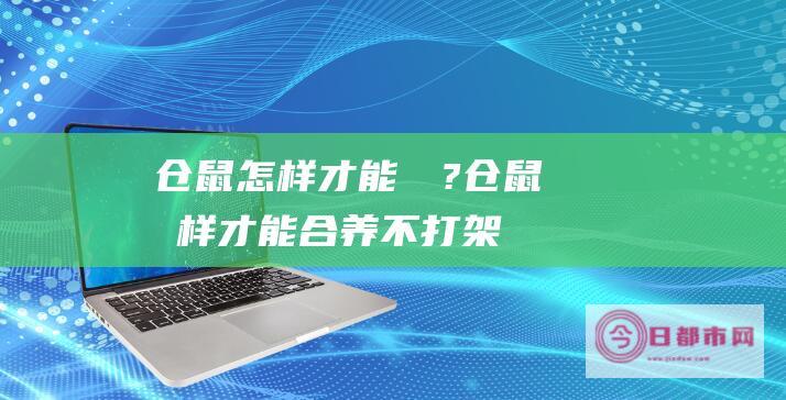 仓鼠怎样才能飬恏? (仓鼠怎样才能合养不打架)