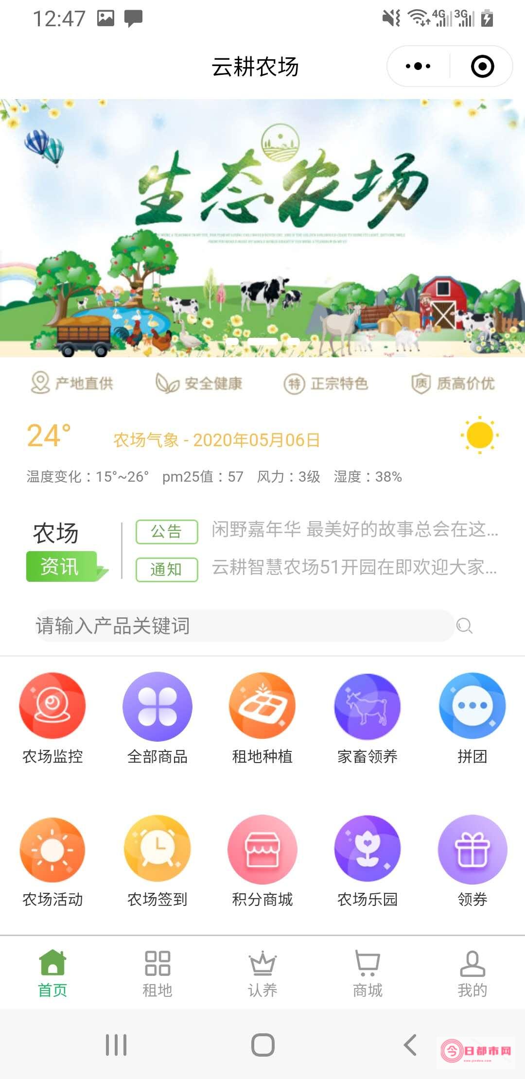 怎样认别纯种比特 (怎样认别纯种狗)