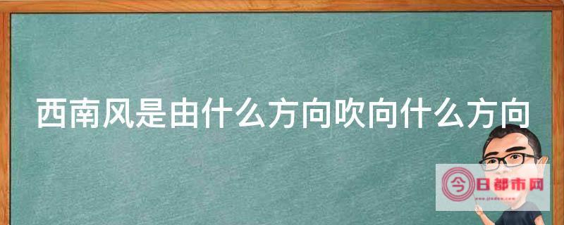 南风是什么意思 (南风是什么意思网络用语)