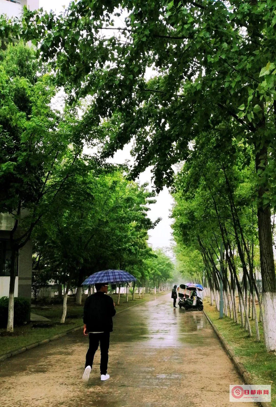 沙河下雨天有大集么吗 (沙河下雨天有雨吗)