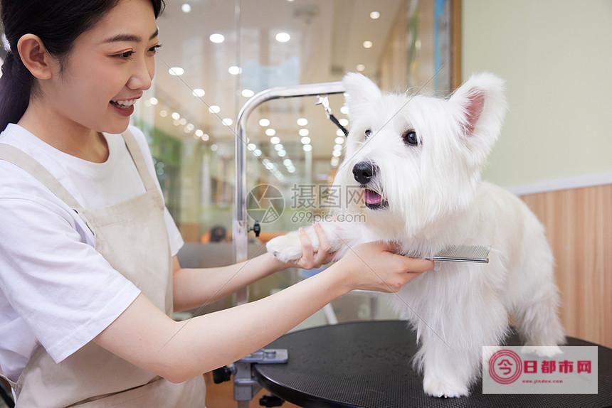 宠物店给狗狗驱虫多少钱一次 (宠物店给狗狗洗澡多少钱)