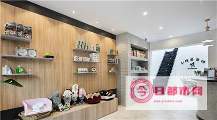 创意宠物店名字 (创意宠物店名称)