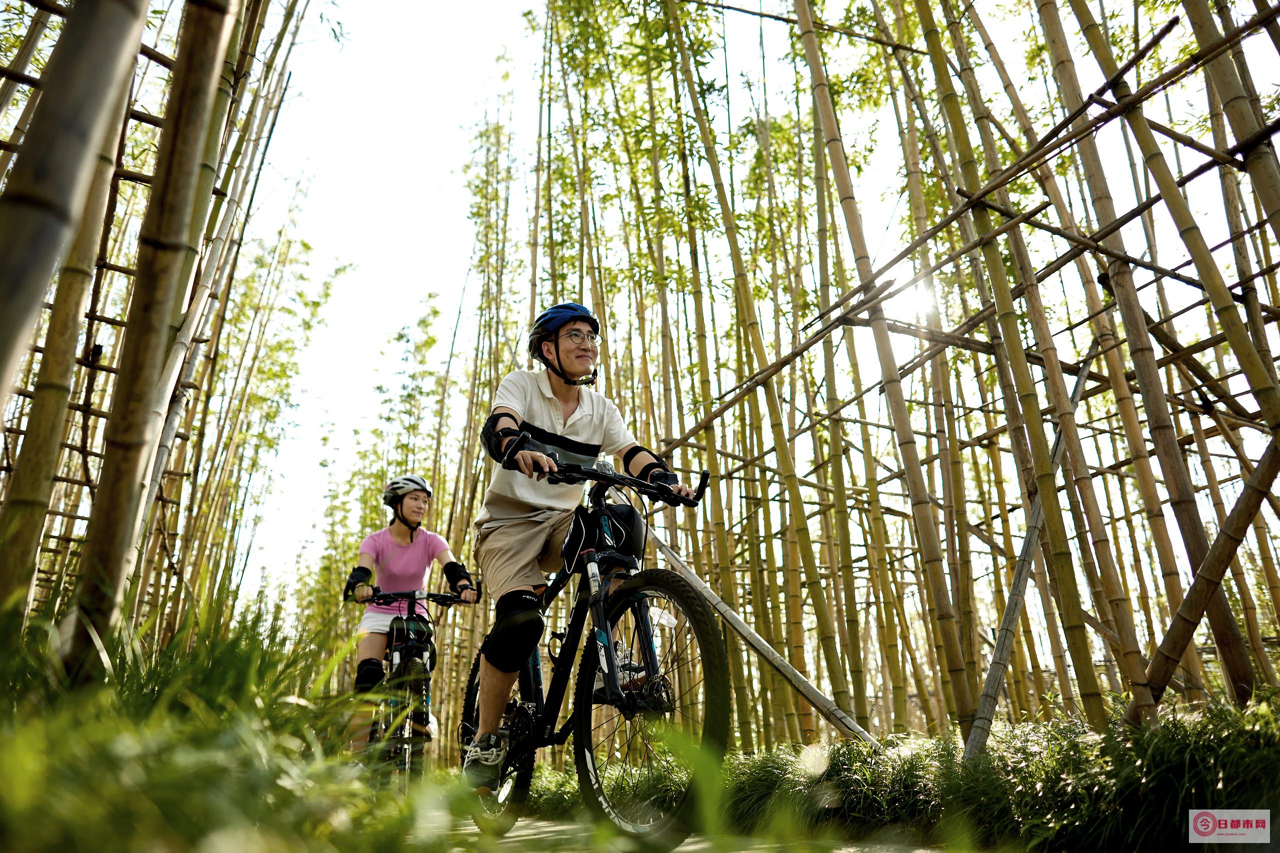 有什么好的游玩攻略值得推荐 去南京仙林景点旅游 (有什么好的游戏)