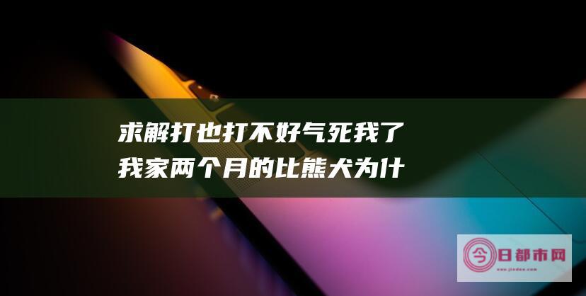 求解 打也打不好 气死我了 我家两个月的比熊犬为什么学不到在指定地点大小便 房间里到处乱拉 (打不了了)