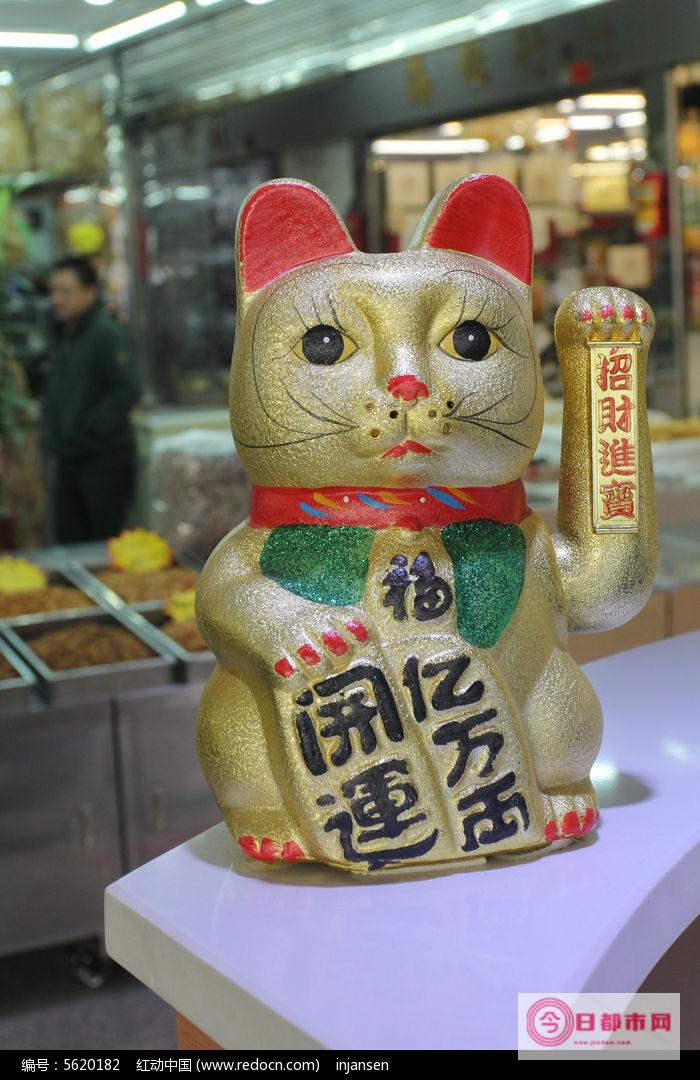 宠物招财猫怎么 (宠物招财猫怎么养)