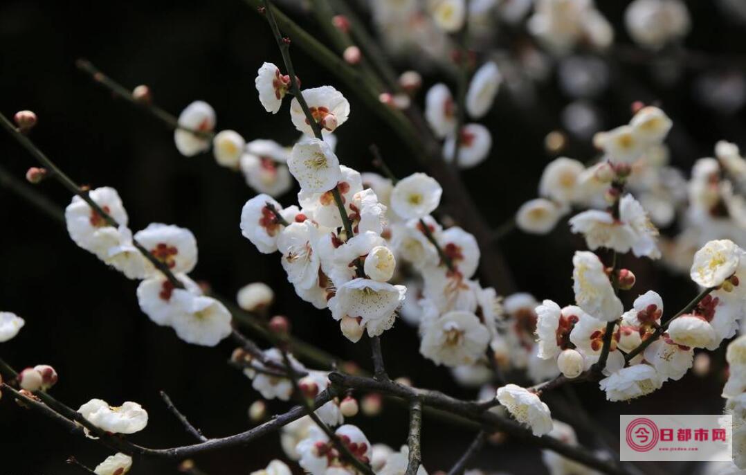 这几个月都分别穿什么 有否雨水 2月3月4月5月福州的天气如何 (这几个月都分手怎么办)