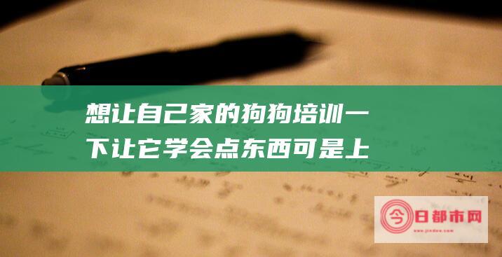 想让自己家的狗狗培训一下 让它学会点东西可是上海这面什么学校好呢 (想让自己家的儿子结婚能不能说自己想站在这个领奖台上)