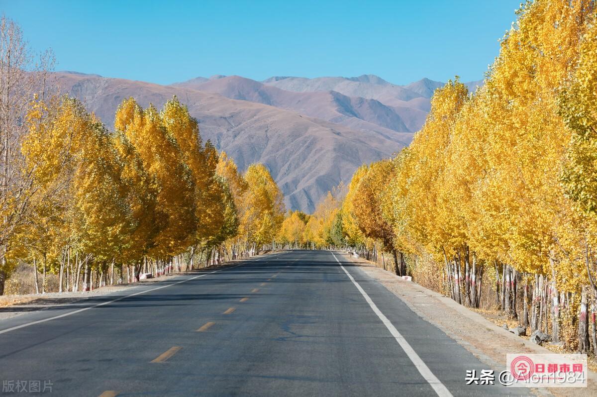 青藏线气候 请问9月8日至10月初 等如何 (青藏线气温最高多少度)