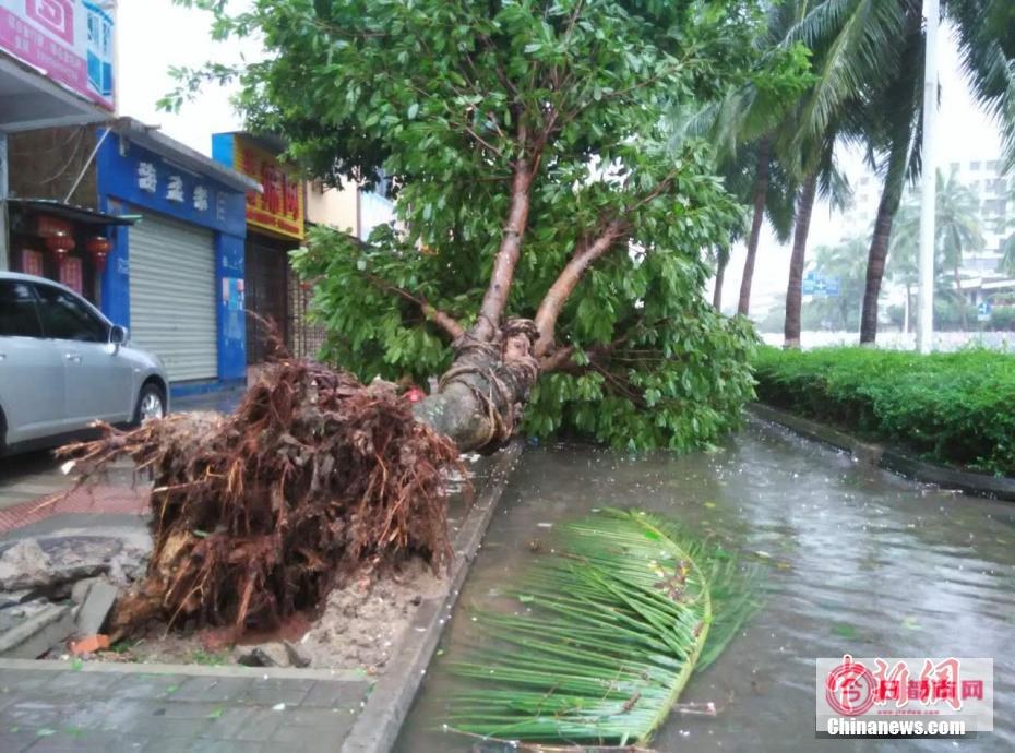 气象台是如何进行天气预报的