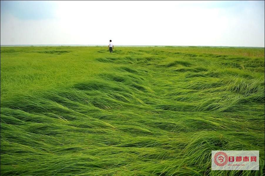 鄱阳的著名景点 鄱阳东北旅游景点图片介绍 (鄱阳的著名景点)