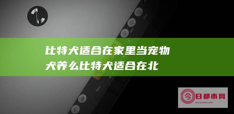 比特犬适合在家里当宠物犬养么 (比特犬适合在北方生活吗)