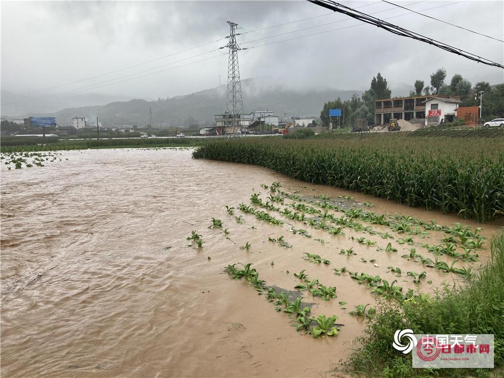 受暴雨影响长沙部分高速路段交通管制 这几个收费站只出不进 (受暴雨影响长高的原因)