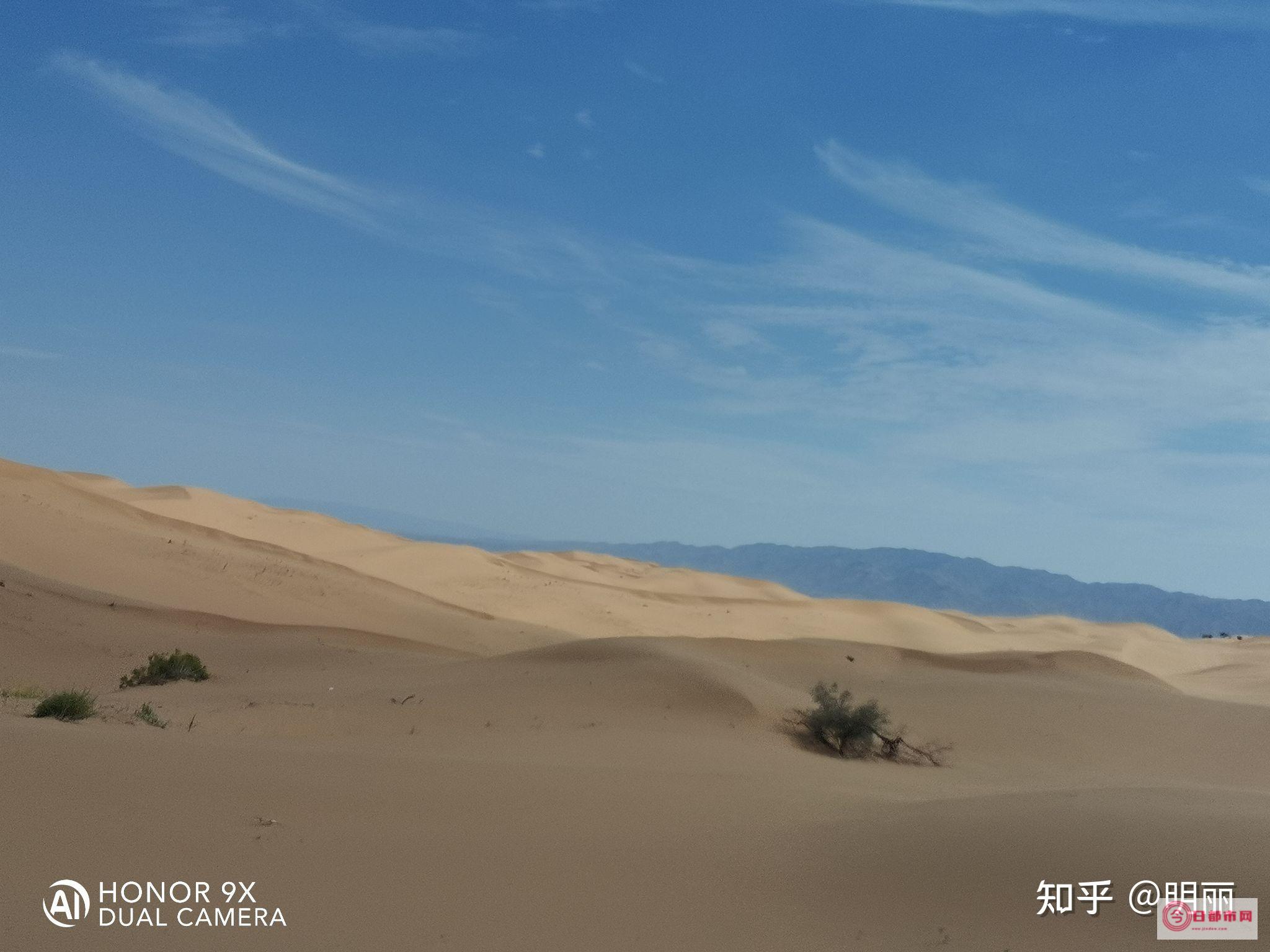 沙坡头7月份适不适合玩耍 沙坡头景区门票五月 (沙坡头7月份热吗)