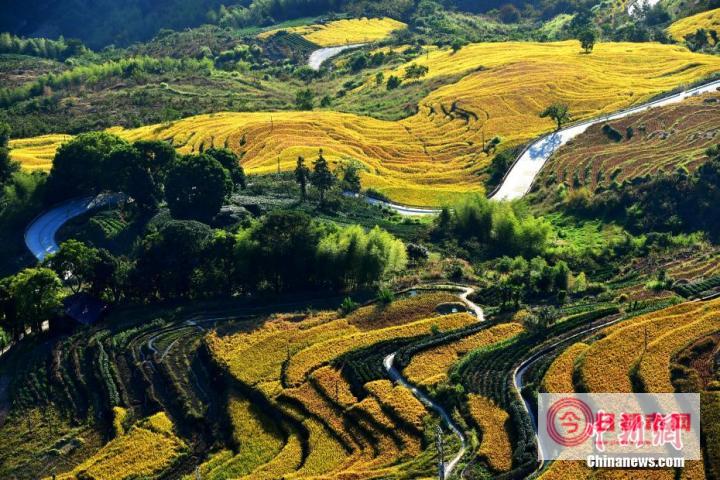 福建省政和县属于哪个市 (福建省政和县属于什么市)