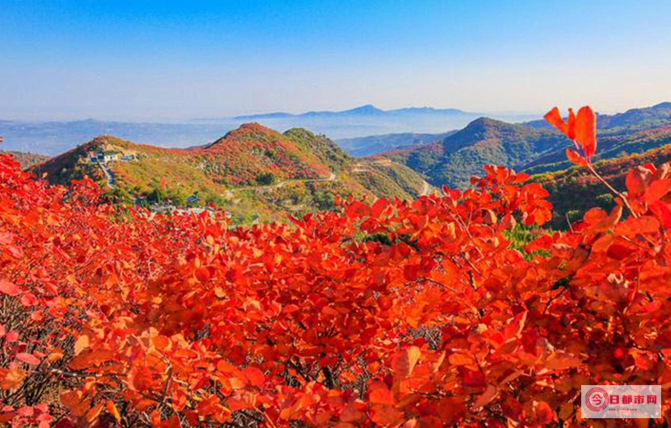 北京自然风景区排名 北京爬山风景区排名 (北京自然风景区有哪些地方)