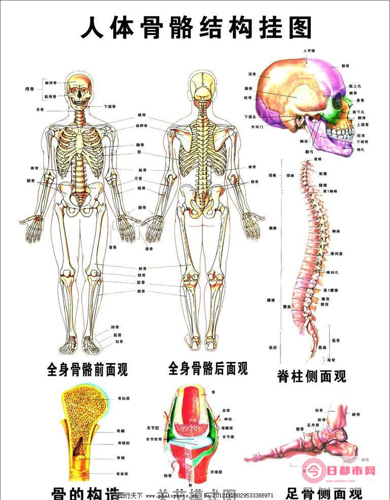 蝎子之类的动物当宠物养是什么心态 (蝎子之类的动物有哪些)