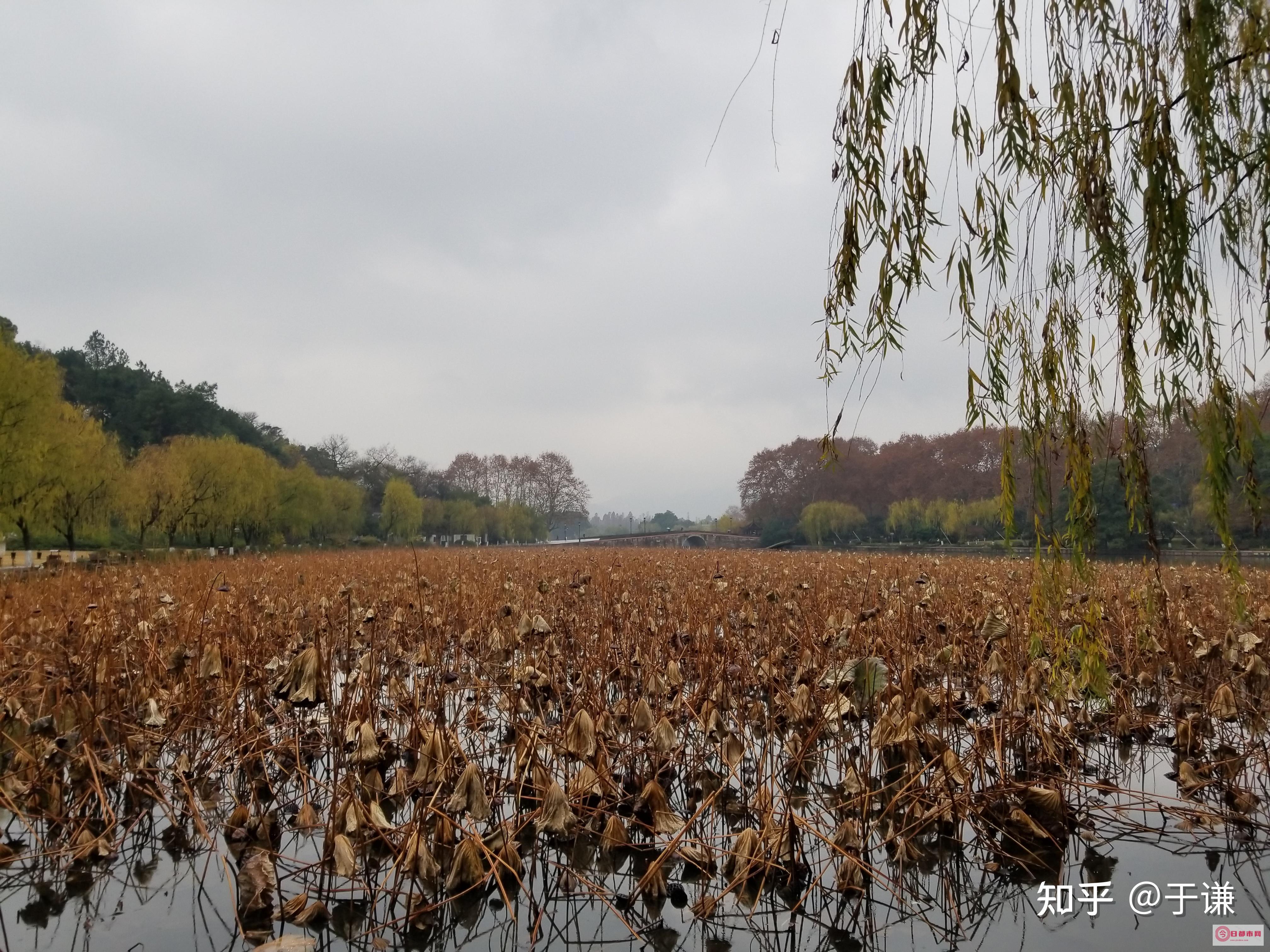 在大孤山周边租车自驾游 需要注意哪些事项 (在大孤山周边怎么玩)