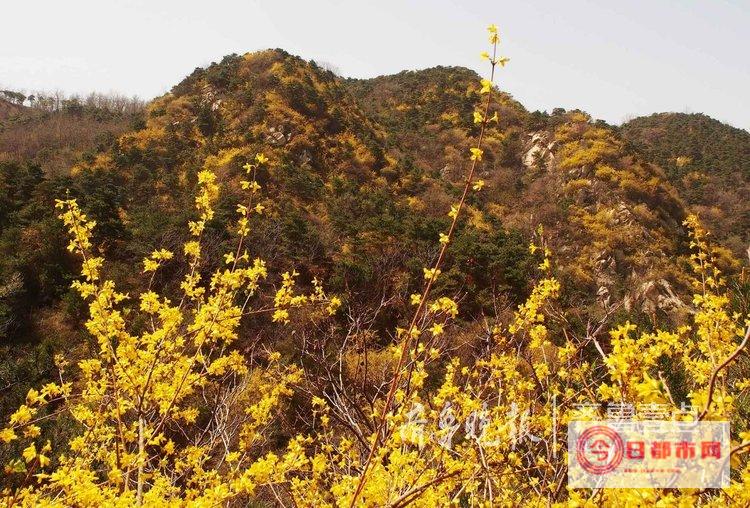 但是南山 请各位大神指教 福田这些区少降雨原因 深圳市宝安区经常下大雨 小虾米在心里默默总结了一下 (是南山南)