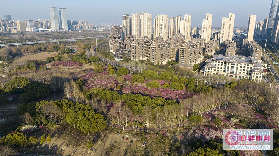 安徽省合肥市瑶海区天气安徽省合肥市天气 (安徽省合肥市的天气预报)