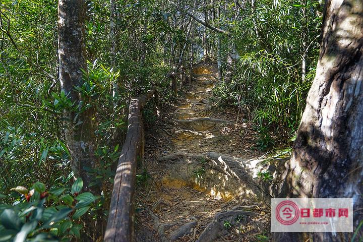 尖峰岭哪些地点适合看日落 (尖峰岭哪些地方可以玩)