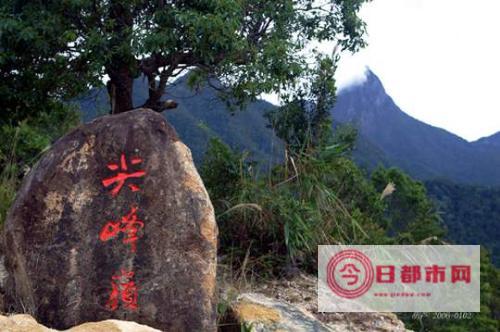 尖峰岭热带雨林的旅游攻略 (尖峰岭热带雨林)