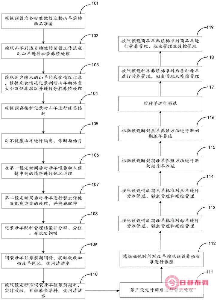 如何正确饲养宠物 (如何正确饲养乌龟)