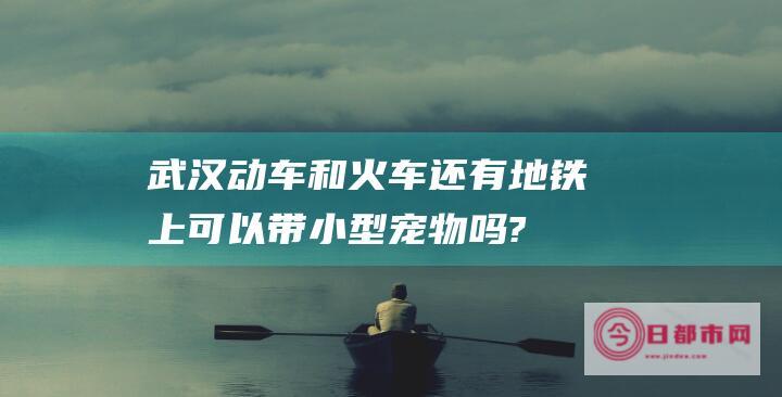 武汉动车和火车还有地铁上可以带小型宠物吗? (武汉动车和火车站在一起吗)