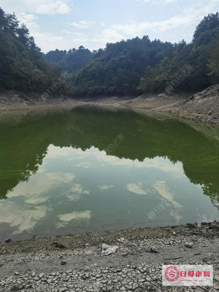 北碚孔雀谷天气 (北碚孔雀谷天气预报)