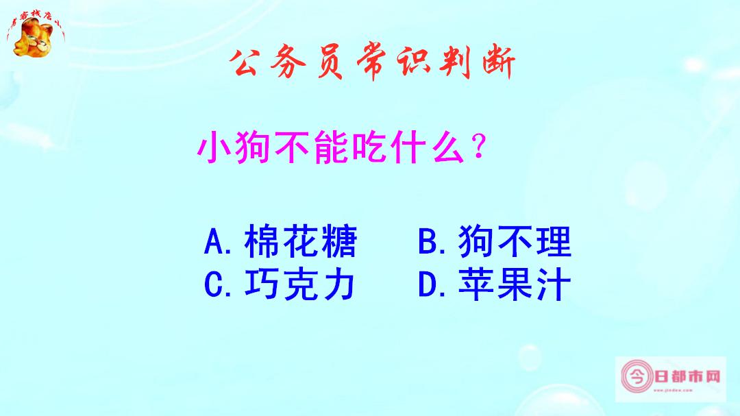 狗可不可以吃板蓝根啊！ (狗可不可以吃红薯)