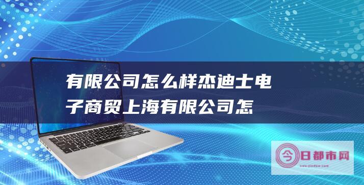 有限公司怎么样杰迪士电子商贸上海有限公司怎