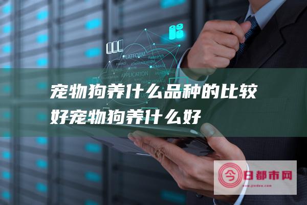 狗养什么品种的比较好狗养什么好