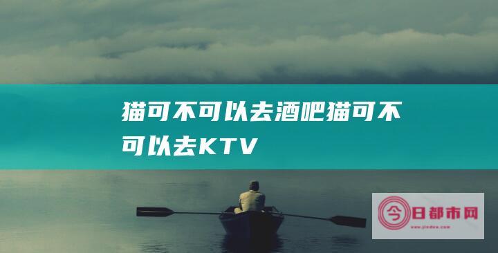 猫可不可以去酒吧 (猫可不可以去KTV)