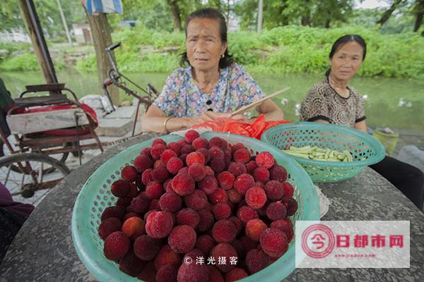 广西容县杨梅中学目前概况 (广西容县杨梅高中)