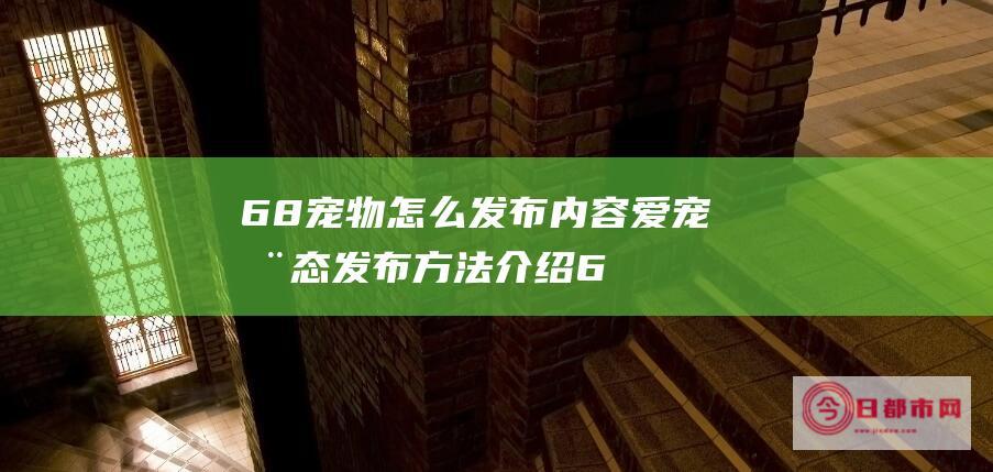 68怎么发布内容爱宠动态发布方法介绍6